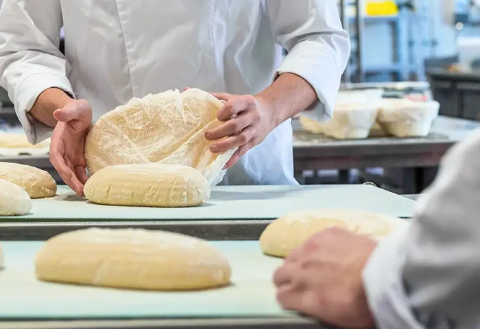 Summa opleiding Boulanger (Bol)