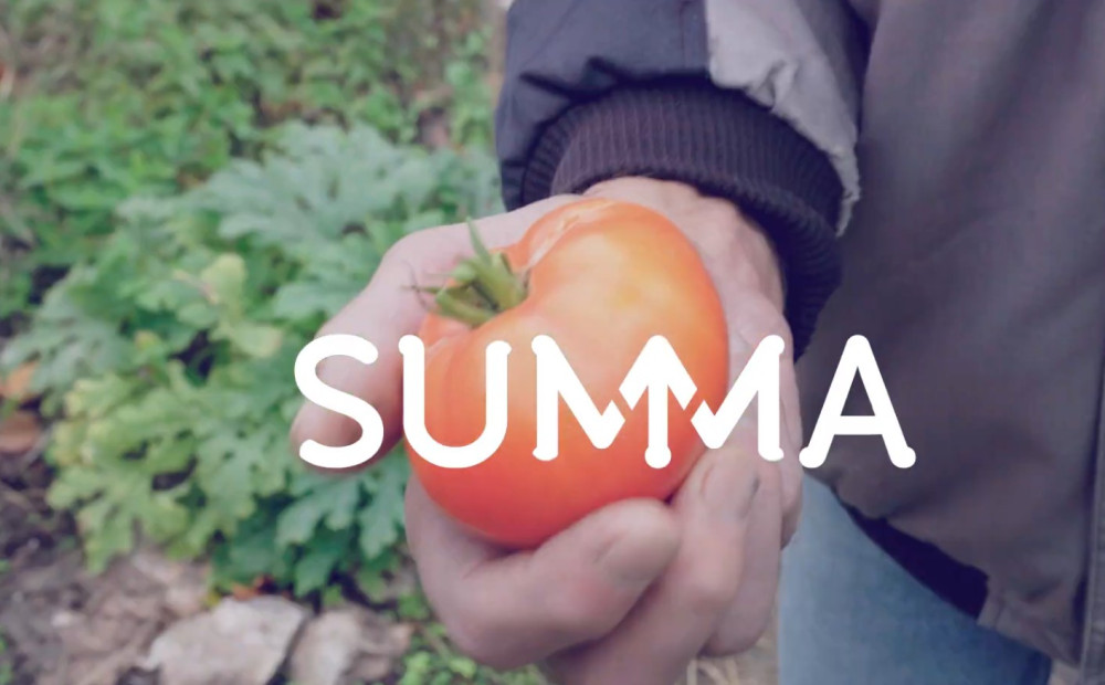 Tomaten uit eigen plustuin